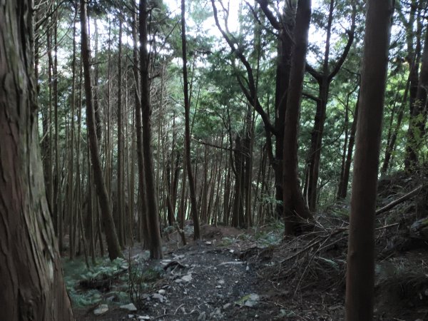 北一段(01/14)勝光山 2025_0906~132885046