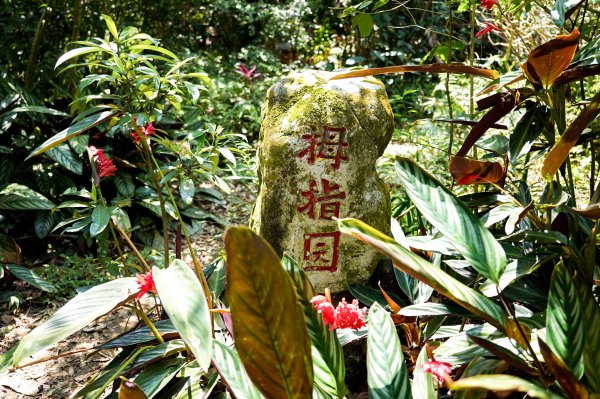 台北大縱走第六+第七段3048813