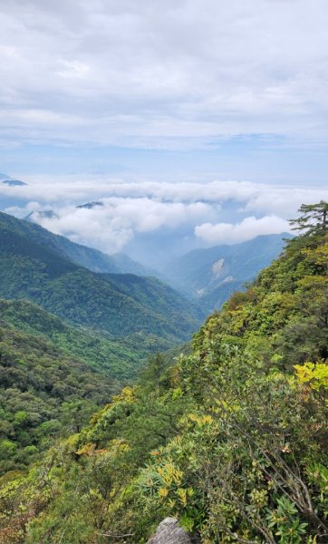 【中級山縱走】最美中級山，鳶嘴西稜縱走（鳶嘴山，醜崠山，長壽山）2741423