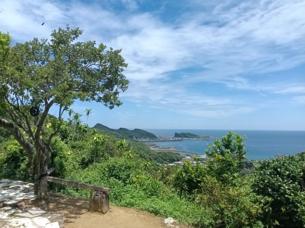瑞芳區長青早起會觀景+碧峰岩步道2854012