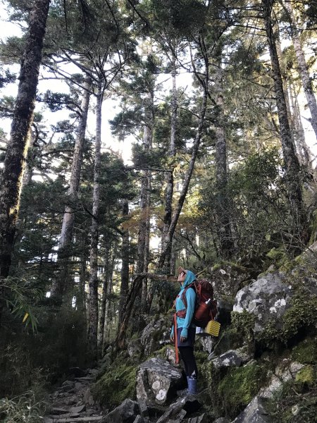 雪山 不下雪532991