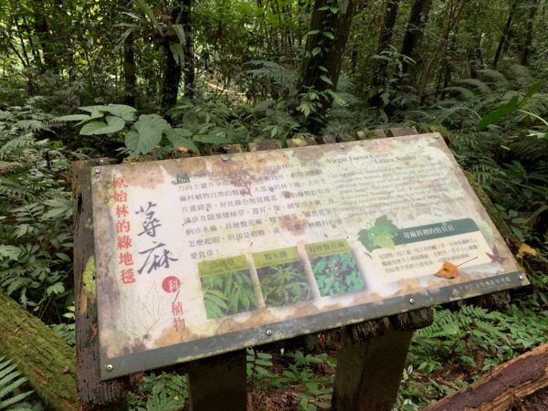 大湖馬拉邦山（小百岳）1065677