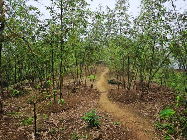 2026年臺北大縱走第六段：中華科技大學至捷運麟光站3026041