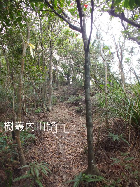 彩虹橋岩稜2733155