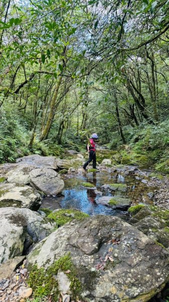 烘爐地山、桶後溪源頭O走2593126