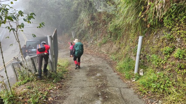111/12/18藤枝森林園區東藤枝山、藤枝山1979592