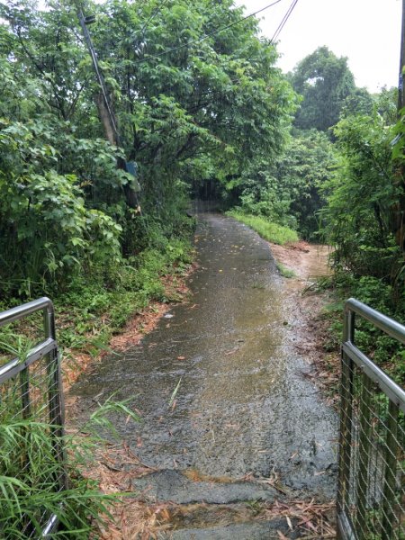 劍潭水庫—古道1432810