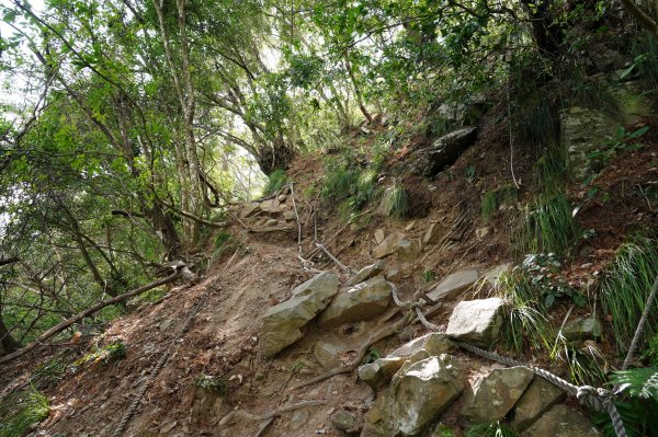 臺中 和平 屋我尾山、十文溪山2699445