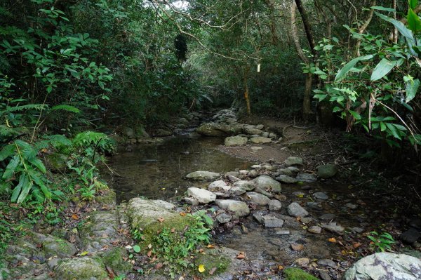 宜蘭 頭城 石空古道、太和山、石空山2398496