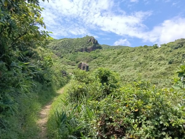 瑞芳區海園古道+鼻頭港稜+鼻頭山稜O型2872782