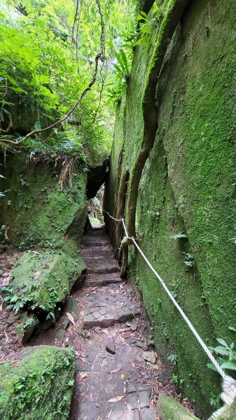 猴洞金龜岩 五指山 騎龍古道 飛鳳山 鳳崎落日步道1765872