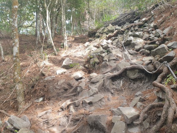 波津加山