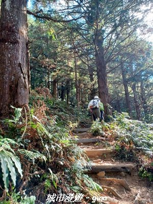 【台中和平】山林野餐。長壽山(肥崠山)山徑2969442