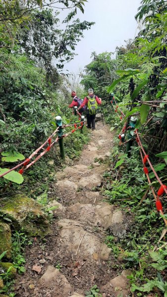 《雲林》全程陡陡｜華山10-5號步道上雲嘉大尖山202203061631167