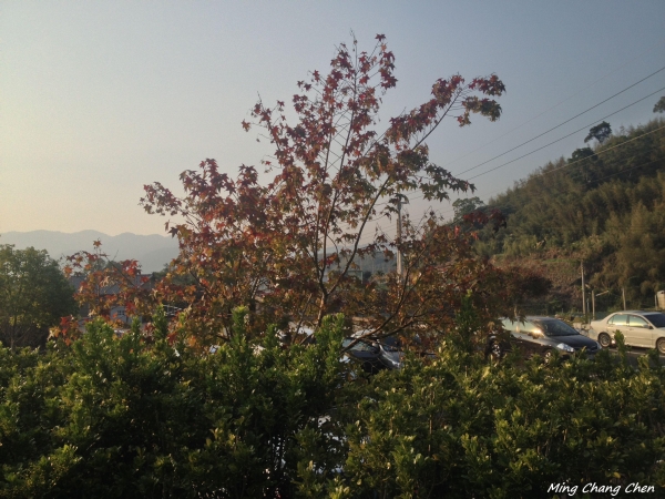 【山岳之美】~馬那邦山5768