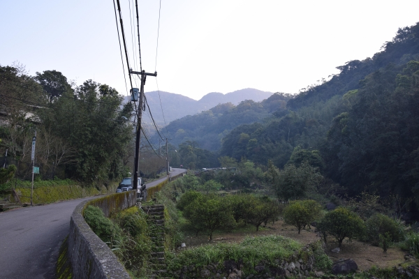 大屯火山群十連峰 陽明山大縱走 40571