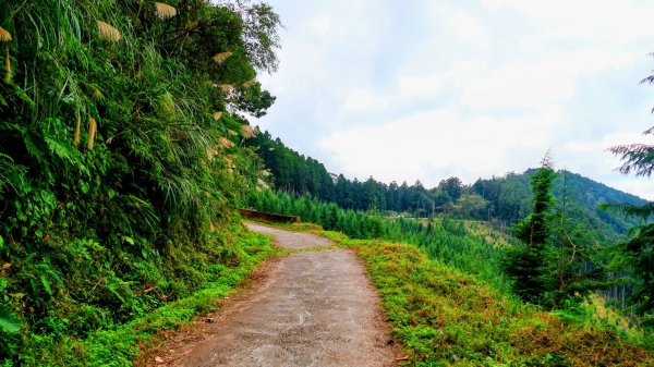 油羅山(一上三下)2959213