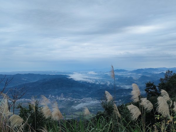 新竹百萬夜景大崎崠頂峰涼亭1596697