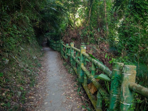 獨立山步道2961177