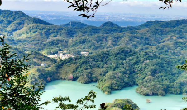 桃園枕頭山，枕頭山西峰，枕頭山砲台古道