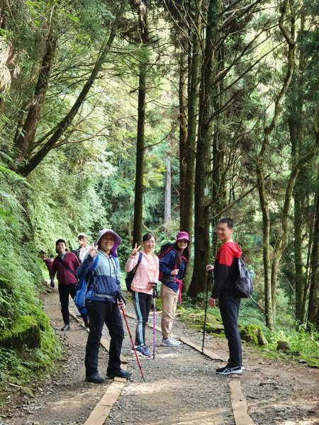 【阿里山】特富野古道1093698