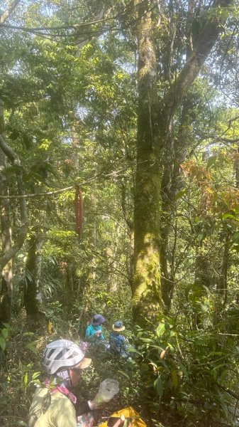 大同九分山/九份山3027606