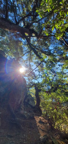 谷關七雄_新山馬崙山(八壯士來回)2353134