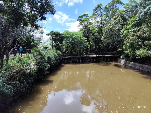 翠山步道、大崙頭尾山親山步道【臺北健走趣】2874322