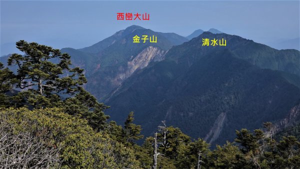 山行漫遊郡大林道上的清水金子郡大三美山1341633