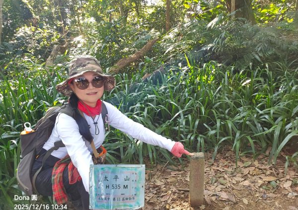 20251216太平山石門山小粗坑山O型+蕃薯藤TINA廚房2972579