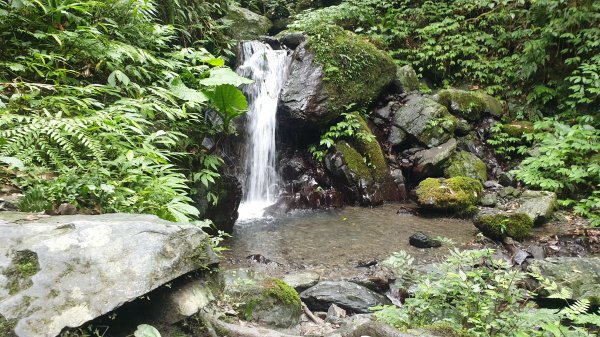 聖母登山步道（抹茶山）2005784