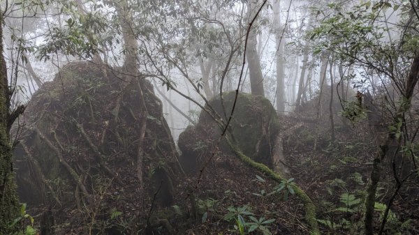 113.06.01魯壁山-東穗山之旅2529891