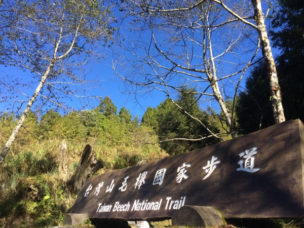 山岳之美 太平山8572