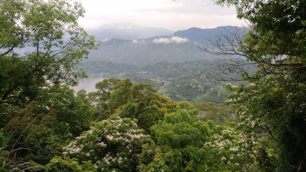 大艽芎古道-溪洲山-頭寮山577969