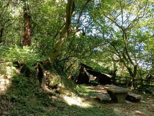 汐止區白雲古道+白雲寺O型2911973