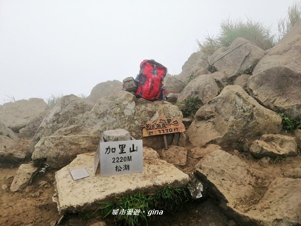 苗栗南庄~陡上陡下無冷場~台灣富士山。 34小百岳~加里山