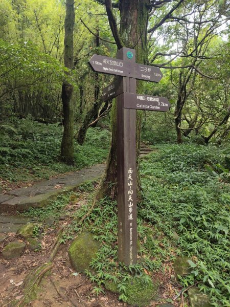 臺北大縱走第二段：二子坪至小油坑2849785