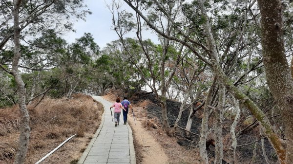 《台中》大肚萬里長城步道慢慢走202104171353224