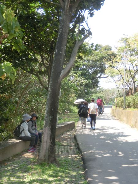 紅樹林步道．淡水文化園區111092