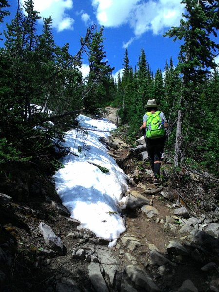 Iceline Trail (YOHO 加拿大幽鶴國家公園)2634589