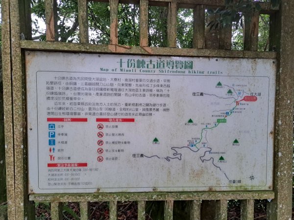 2026樟之細道：龍山良頂，老銃櫃，紙湖，水寨下，鳴鳳，楔隘，出雲，出關（十分崠段）步道3117829