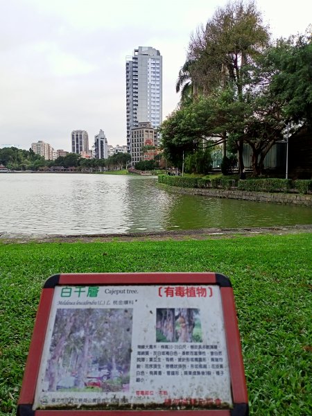 【南山神壽任務尋寶趣】碧湖公園步道憶故人1579607