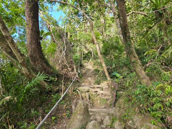 都蘭山（小百岳）2974180