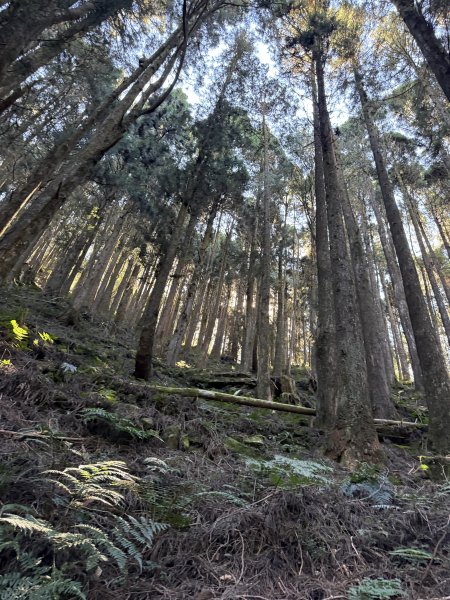 1141122特富野古道2995415