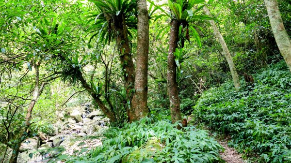 番王厝,番婆厝,王子厝,公主厝2827600