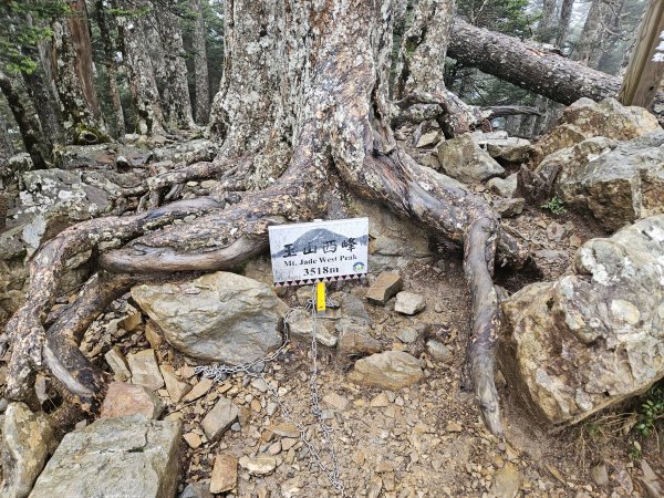 一日單攻玉山西峰+前峰2644156