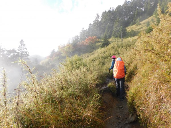 國慶日走雪主東464526