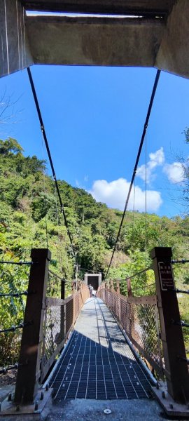 花蓮瑞穗．富源國家森林遊樂區景觀步道202602203013161