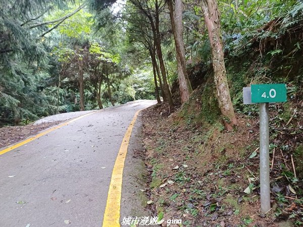 【苗栗南庄】裊裊雲霧台版富士山。 小百岳集起來。編號 34小百岳~加里山。 【台灣小百岳】 我玩登了1902980