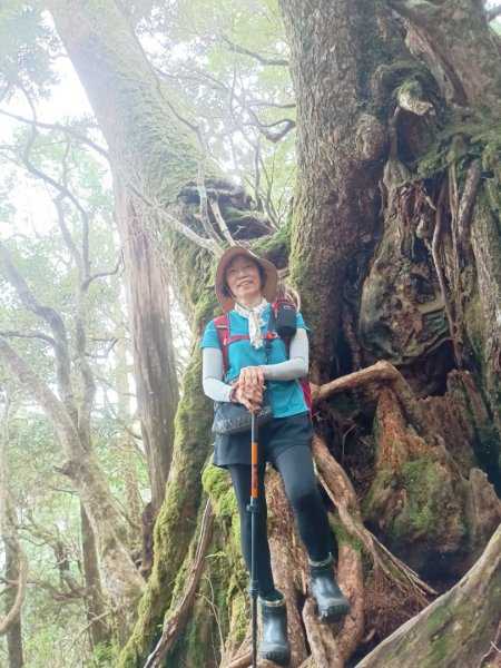 魔幻森林-塔曼山-202508102866567